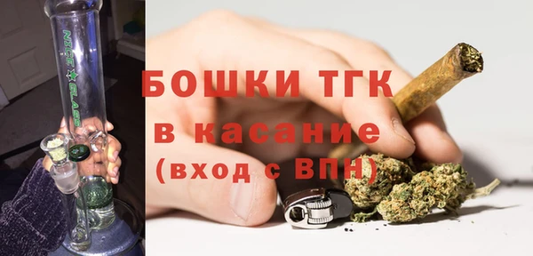 сатива Алексеевка