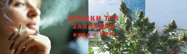 прущие грибы Алексин