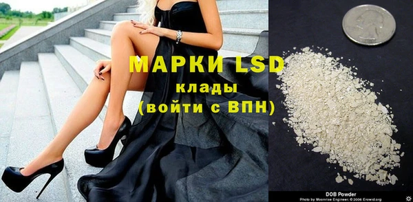 прущие грибы Алексин