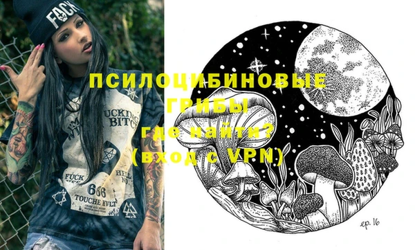 эйфоретик Алзамай