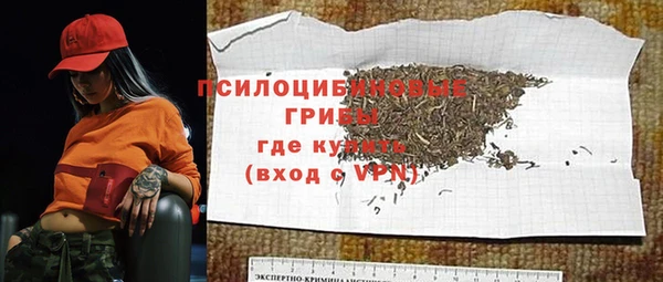 альфа пвп Новодвинск