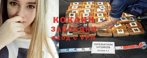 прущие грибы Алексин